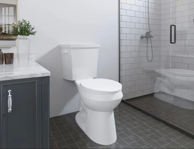 Top thương hiệu bồn cầu uy tín hiện nay 