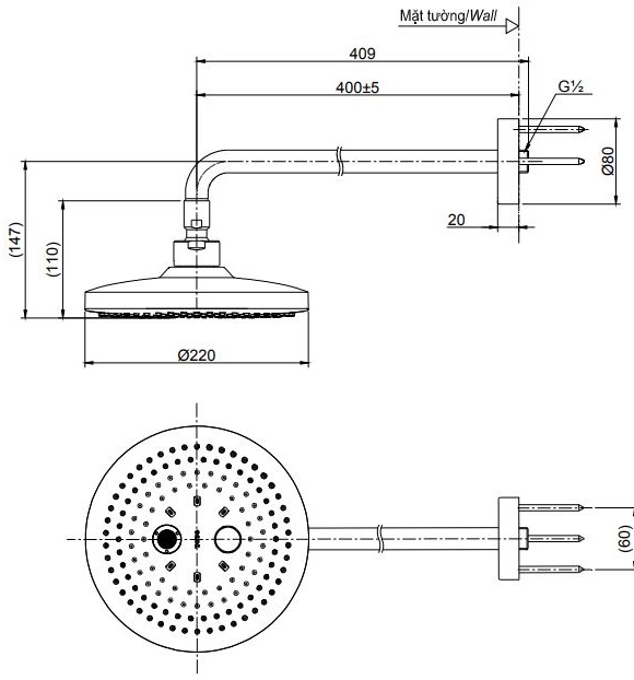 Bản vẽ bát sen tắm TBW01004 TOTO gắn tường