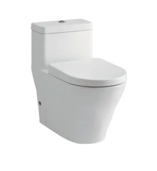 Bồn cầu một khối CW166RB/TC384CVK (Nắp đóng êm)