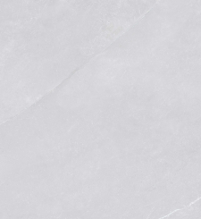 Gạch ốp lát Viglacera 40x80cm NY1 GP4801