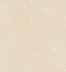 Gạch lát nền Viglacera 60x60cm NY4-GP6603